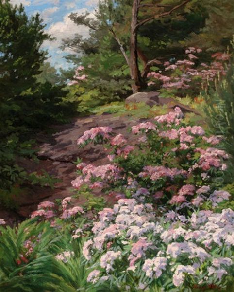 Pink And White Rhododendron In A Forest - view 1