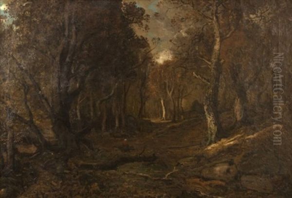 Autumn, Evening, Forest Of Fontainebleau - view 1