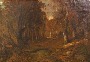 Autumn, Evening, Forest Of Fontainebleau