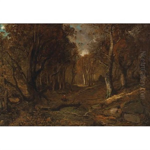 Autumn, Evening, Forest Of Fontainebleau - view 1