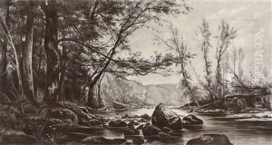 Paysage A La Riviere