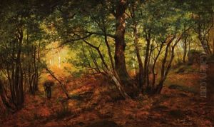 Fagotiere En Foret