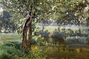 Arbres En Bordure De Riviere