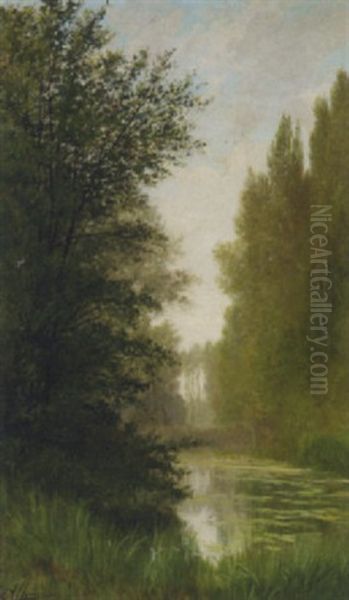 A Tranquil Lake In A Woodland Clearing - view 1