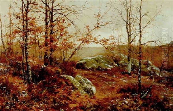 Les Rochers En Foret De Fontainebleau - view 1