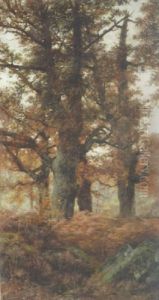 Un Coin Du Plateau De La Mare Aux Fees - Foret De Fontainebleau