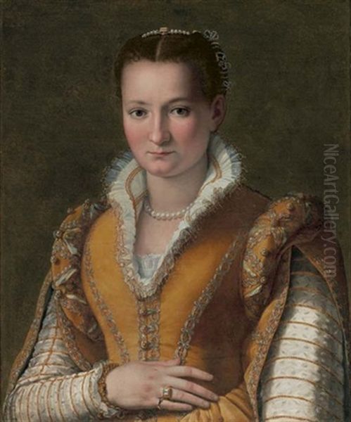 Portrait Of A Lady (bianca Capello De'medici?) In An Embroidered Gold Dress And Pearls - view 1