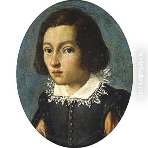 Head Of A Young Man