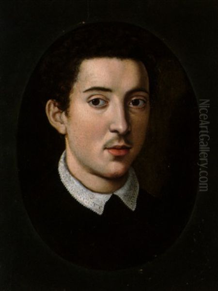 Presento Ritratto Giovanile Di Francesco I De'medici - view 1