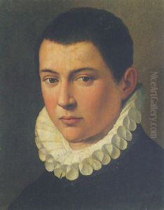 Portrait Of A Boy Wearing A White Ruff by Alessandro di Cristofano Allori