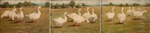 Triptych Of Geese In A Field Triptych Of Geese In A Field