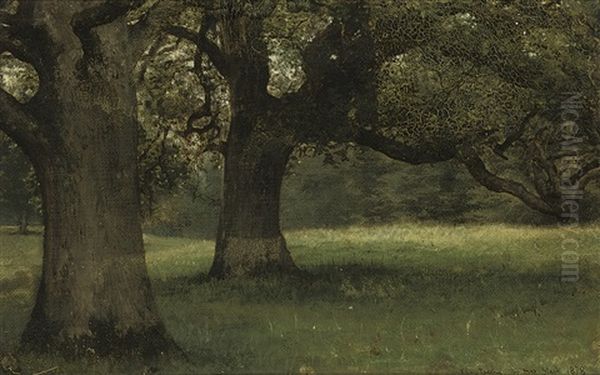 Shade In Summer - view 1