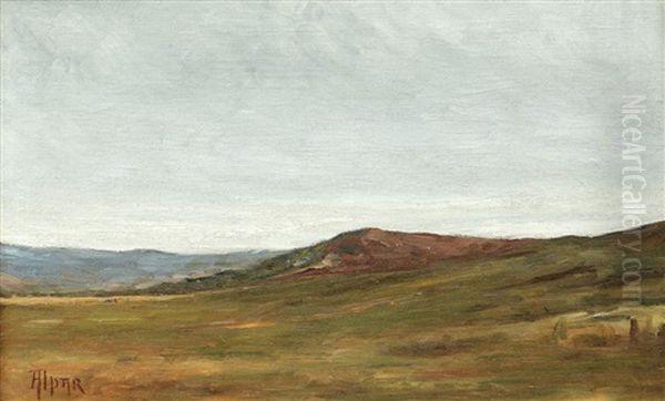 Campie - view 1
