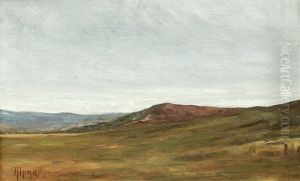 Campie by Juan (Alexandru Paraschivescu) Alpar