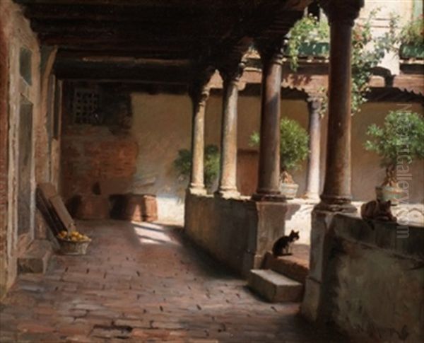 Patio Con Columnas - view 1
