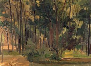 Pinar De Oromana by Nicolas (Jimenez Caballero Navarro) Alperiz