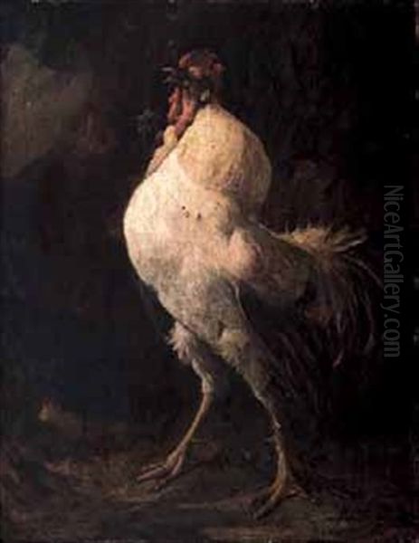 Gallo - view 1