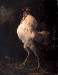 Gallo Gallo