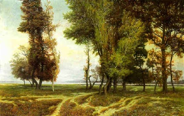 Wooded Park With A Bay Beyond - view 1