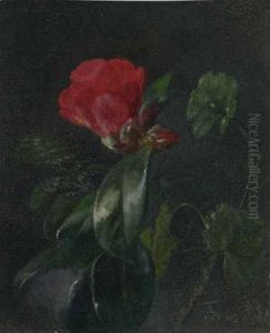 Blumenstilleben Mit Einer Rot Bluhenden Agavenart
