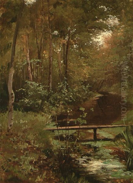 Waldlandschaft Mit Bach Und Steg - view 1