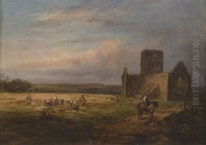 Harvesting The Field