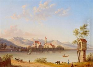 Blick Uber Die Donau Nach Arddagger Im Strudengau