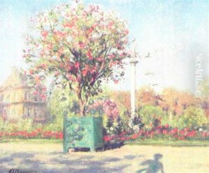Parkscene Med Blomstrende Traeer Og Buske