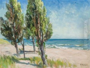 Landscape At The Beach Landscape At The Beach