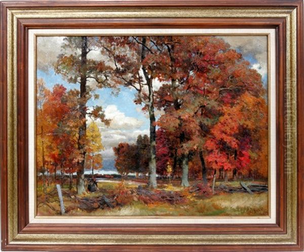 Autumn Forest Landscape - view 1