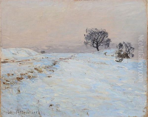 Schnepfeld (snowfield) - view 1