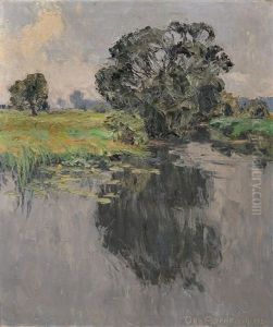 Weidenbusche An Der Kleinen Elster