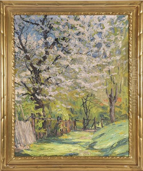 Waldweg - view 1