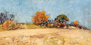 Feldrain Im Herbst (mit Kiefer)