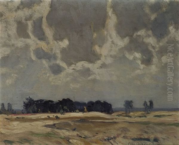 Weite Sommerlandschaft Mit Getreidefeldern - view 1
