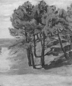 Baume by Heinrich Altherr