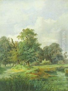 Aulandschaft Aulandschaft