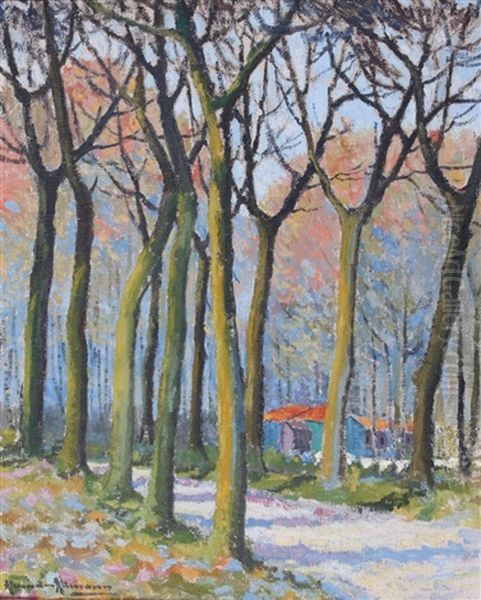 Chemin Et Allee D'arbres - view 1