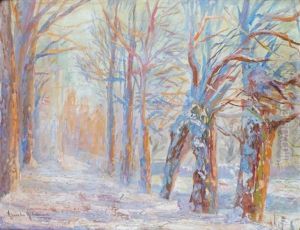 Paysage De Neige