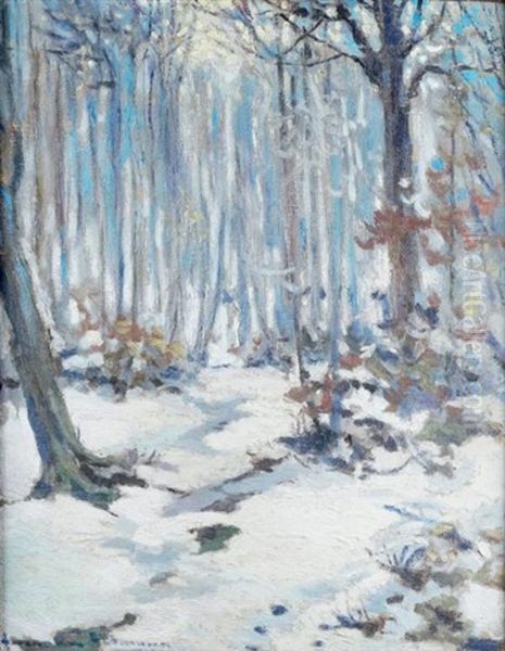 Sous-bois Enneige - view 1