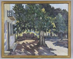 Arbre Devant Une Maison