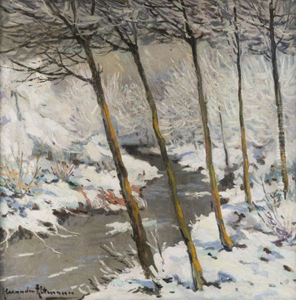 Winter Landscape - view 1