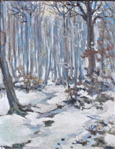 Paysage Enneige - view 1