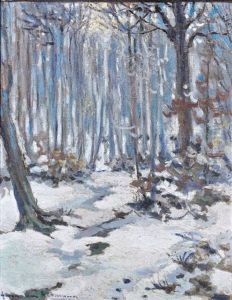 Paysage Enneige