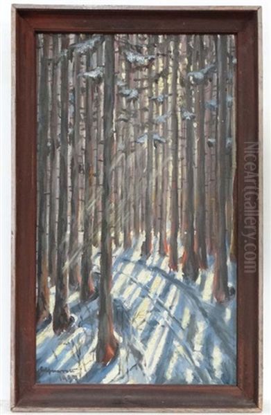 Sunlight Streaming Through Snow Laden Trees - view 1