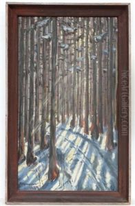 Sunlight Streaming Through Snow Laden Trees
