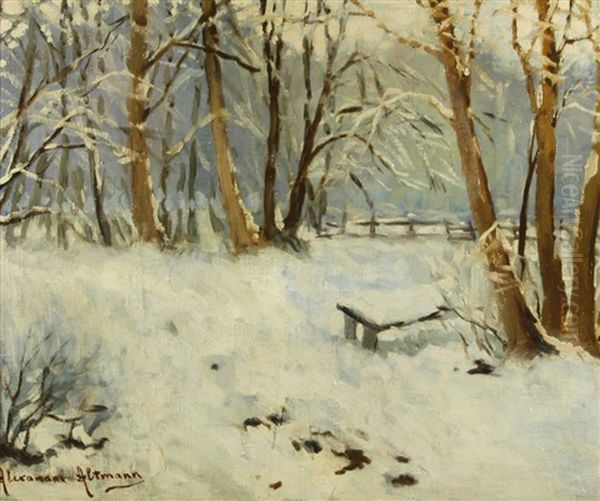 Park Under Snow - view 1