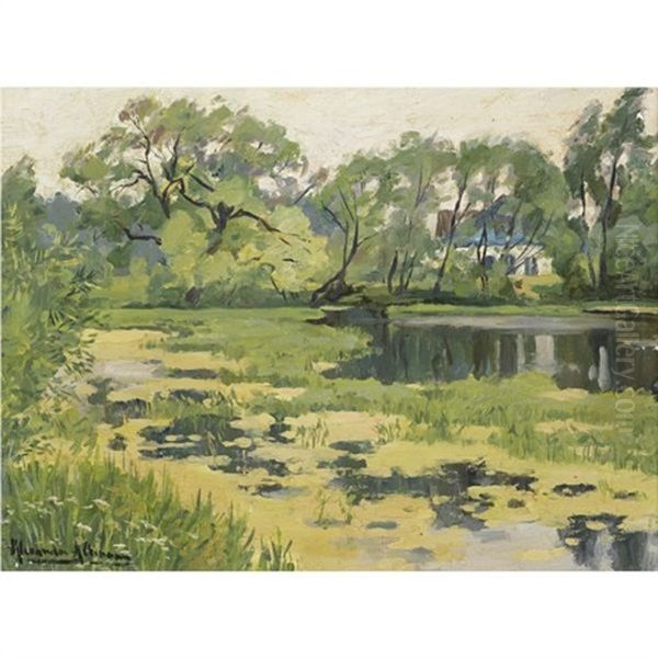 The Overgrown Pond - view 1