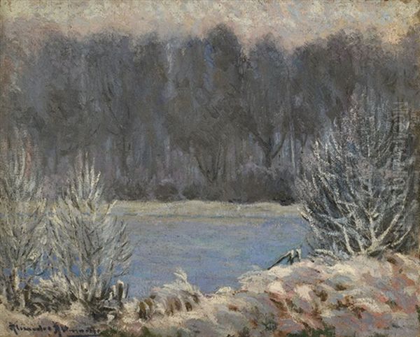 Winter Landscape - view 1