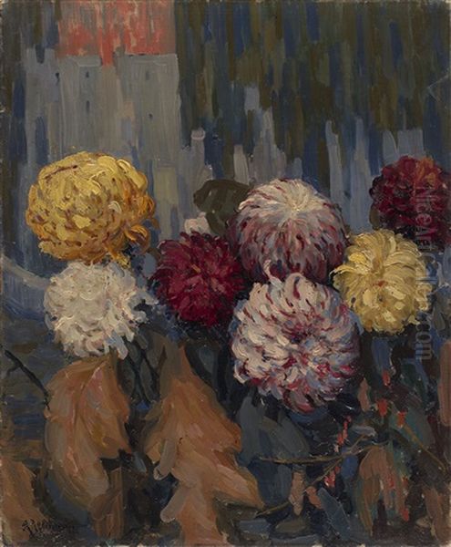 Chrysanthemums - view 1